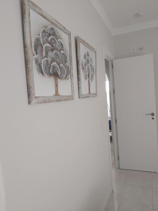360° Seaview Benalbeach Apartment Benalmádena Eksteriør billede